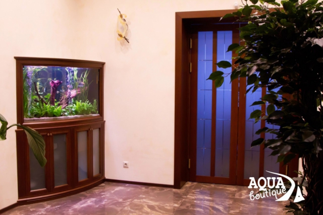 Встроенный аквариум с живыми растениями, выполненный специалистами ООО "Аква бутик"
